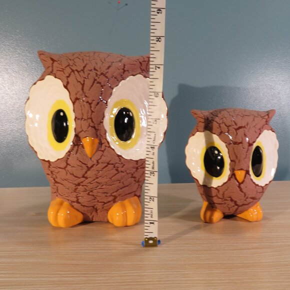 Cute Large Eyed Owls - Picture 3 of 9